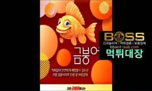 금붕어 먹튀 gbo-bro.com 먹튀확정 먹튀검증 토토사이트